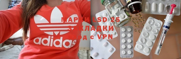шишки Баксан