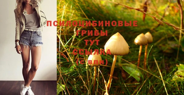 бутират Беломорск