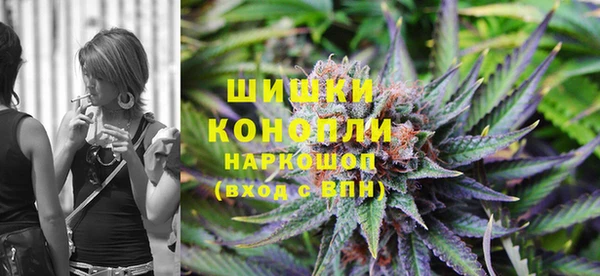 spice Белокуриха