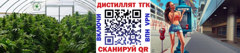 Дистиллят ТГК Wax  закладки  Сердобск 