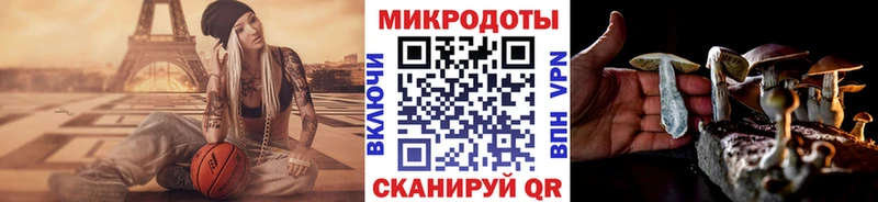 Псилоцибиновые грибы Psilocybe  Сердобск 